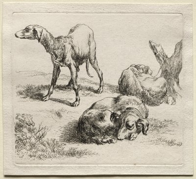 Animalia: Tre jakthundar av Nicolaes Berchem