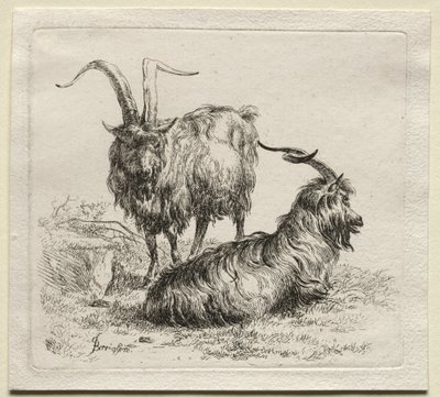 Animalia: Två getter av Nicolaes Berchem