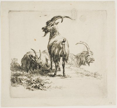 Getter, från olika djur av Nicolaes Berchem