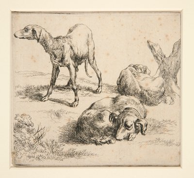 Tre jakthundar (från av Nicolaes Berchem