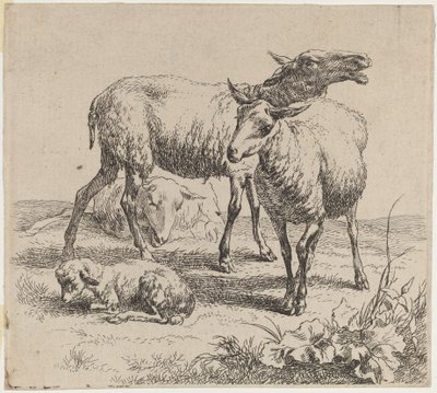 Tre får och ett lamm. av Nicolaes Berchem