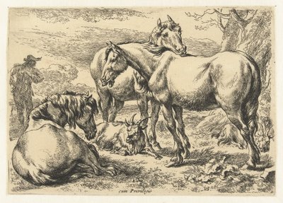 Tre hästar Djur (serietitel) av Nicolaes Pietersz Berchem