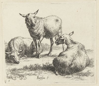 Torka fåren Schapen (serietitel) Djur dragna till liv och tryckta med vatten för stark luft av Studio and Art of Nicolai Berchem (serietitel) av Nicolaes Pietersz Berchem