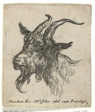 Huvud av en get Djur (serietitel) av Nicolaes Pietersz Berchem