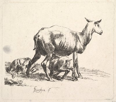 Får med lammvård. av Nicolaes Pietersz. Berchem