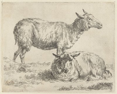 Staand en liggend schaap Schapen (serietitel) Djur som dras till liv och trycks i vatten av stark luft av Studio and Art of Nicolai Berchem (serietitel) av Nicolaes Pietersz Berchem