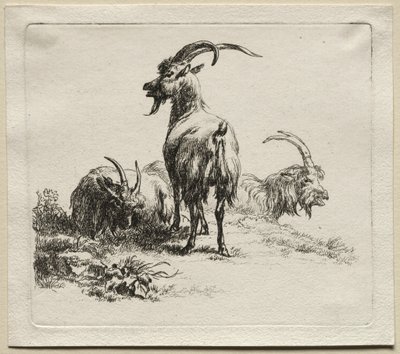 Tre getter. av Nicolaes Pietersz. Berchem