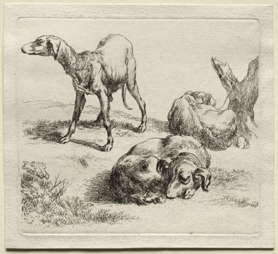 Tre jakthundar. av Nicolaes Pietersz. Berchem