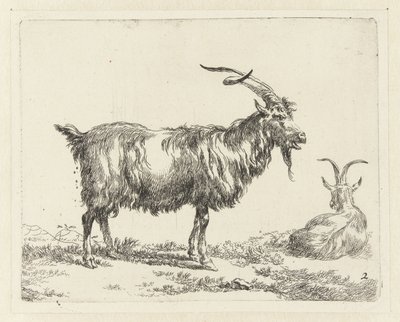 Två getter Geiten (serietitel) Djur som dras till liv och trycks i vatten av stark luft av Studio and Art of Nicolai Berchem (serietitel) av Nicolaes Pietersz Berchem