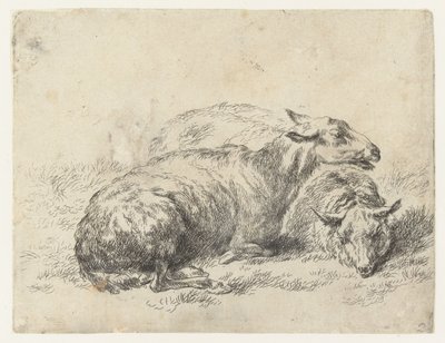 Twee ligende schapen får (serietitel) Djur dragna till liv och tryckta med vatten för stark luft av Studio and Art of Nicolai Berchem (serietitel) av Nicolaes Pietersz Berchem