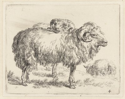 Twee rammen en een schaap Schapen (serietitel) Djur som dras till liv och trycks i vatten av stark luft av Studio and Art of Nicolai Berchem (serietitel) av Nicolaes Pietersz Berchem