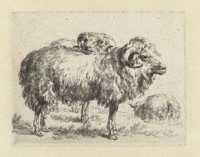 Twee rammen en een schaap Schapen (serietitel) Djur som dras till liv och trycks i vatten av stark luft av Studio and Art of Nicolai Berchem (serietitel) av Nicolaes Pietersz Berchem
