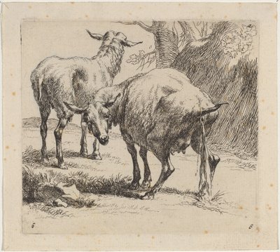 Två får, ett pissande av Nicolaes Pietersz Berchem