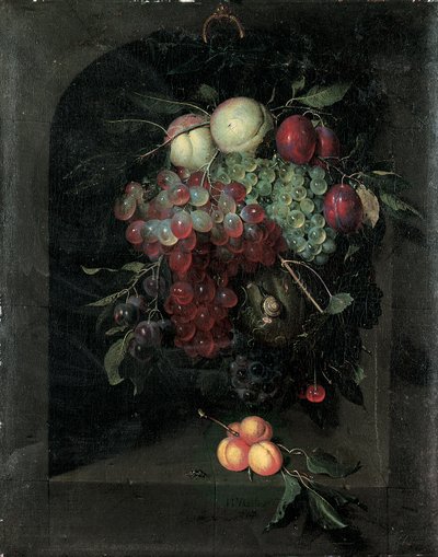 Swag av vindruvor, persikor, plommon och körsbär med en snigel i en stennisch med ett gäng aprikoser och bi på en avsats, 1666 av Nicolaes Van Gelder
