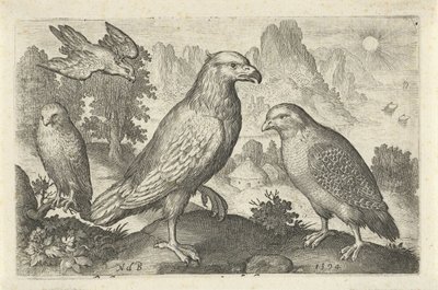 Örn och andra rovfåglar Fåglar och insekter (serietitel) av Nicolaes de Bruyn