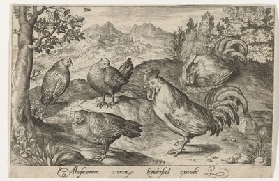 Tre höns och två tuppar Fåglar och insekter (serietitel) av Nicolaes de Bruyn