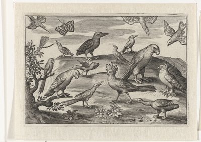 ヤツガシラと他の鳥 鳥と昆虫（連載タイトル）スウェーデン語 av Nicolaes de Bruyn
