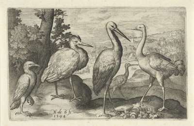 Stork, trana, häger och skedstork Fåglar och insekter (serietitel) av Nicolaes de Bruyn