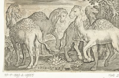 Fyra dromedarer Animalivm qvadrvpedvm (serietitel) Djur i landskap (serietitel) av Nicolaes de Bruyn