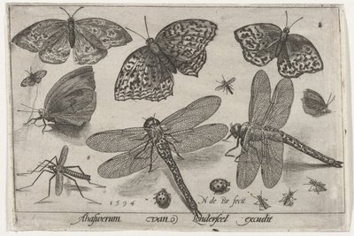 Fjärilar och trollsländor Fåglar och insekter (serietitel) av Nicolaes de Bruyn