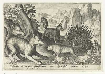 Vildsvin, räv, bäver, piggsvin och grodor Animalivm qvadrvpedvm (serietitel) Djur i landskap (serietitel) av Nicolaes de Bruyn