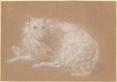 En långhårig hund som ligger ner av Nicolai Abildgaard