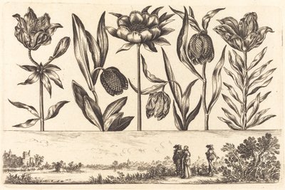 Blomstertryck nr.11 av Nicolas Cochin after Balthasar Moncornet