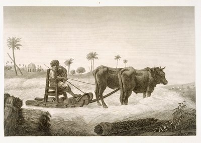 Skörd av majs, från volym II Arts and Trades i "Description of Egypt", publicerad på order av Napoleon, 1822. av Nicolas Jacques Conte