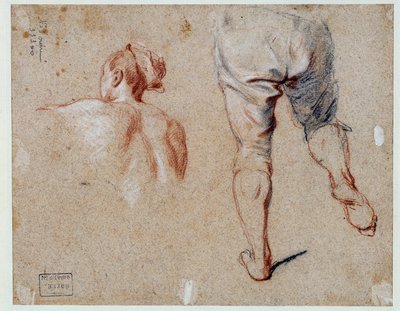 Studie av anatomi Oljeteckning av Nicolas Vleughels (1668-1737) 1700-talets Paris, Louvren av Nicolas Vleughels