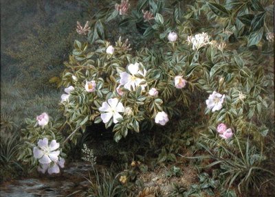 En studie av hundrosor, ca 1900 (olja på duk) av Niels Pieter Rasmussen