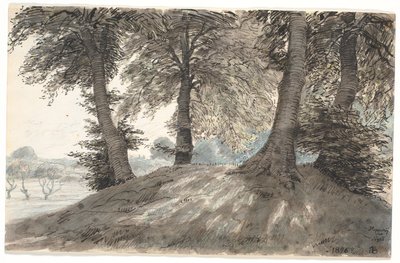 "Hoppbacke vid Nysø" av Niels Skovgaard