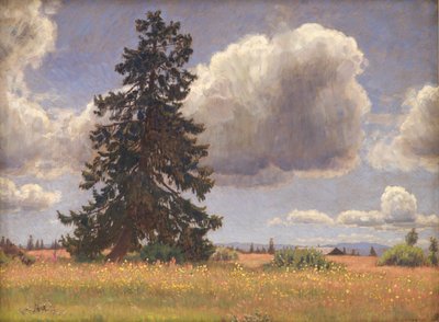 Gran i en sommarbete. Norge av Niels Skovgaard