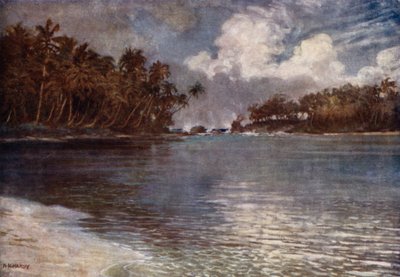 By Reef and Palm (färg litho) av Norman Hardy
