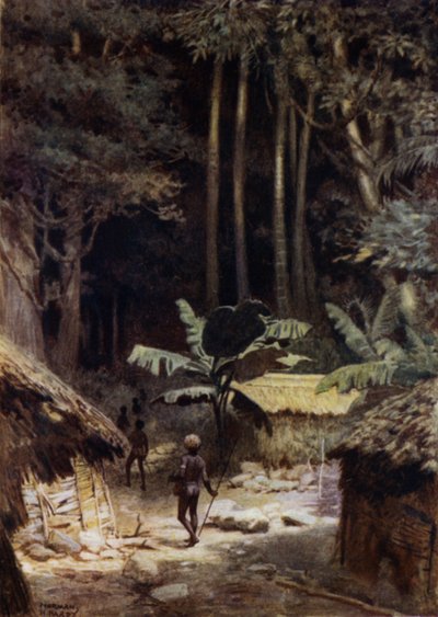 I utkanten av en urskog, Salomonöarna (färg litho) av Norman Hardy