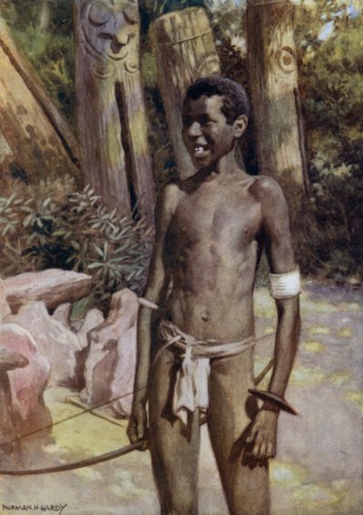 Konstnärsguiden om Malekula, Nya Hebriderna (färg litho) av Norman Hardy