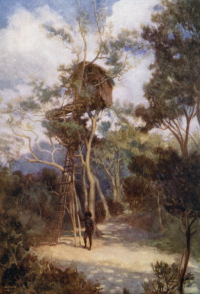 Trädhus i Brittiska Nya Guinea (färg litho) av Norman Hardy