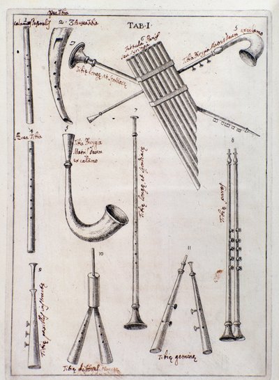 Blåsinstrument Sida från "The Three Types of Musical Instruments" verk om gamla instrument av Francesco Bianchini av Northern Italian School