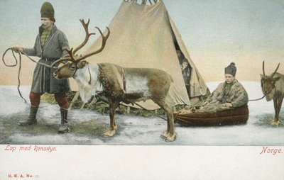 Laplanders med renar, Norge (färgfoto) av Norwegian Photographer