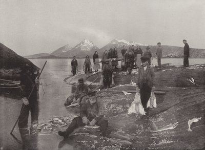 Tvätta Klip-fisk av Norwegian Photographer