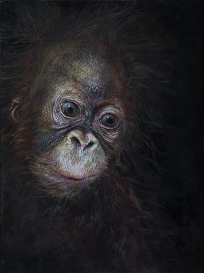 Baby orangutang 3, 2015 (akryl på trä) av Odile Kidd