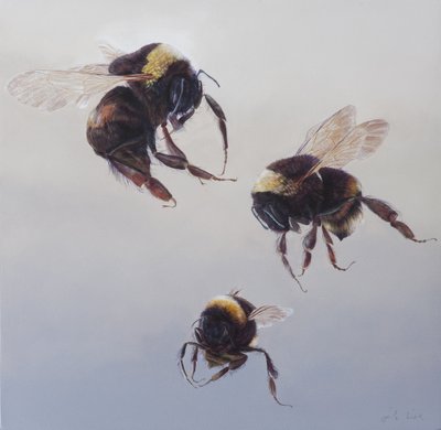 Bombus flight 1, 2011 (akryl på trä) av Odile Kidd