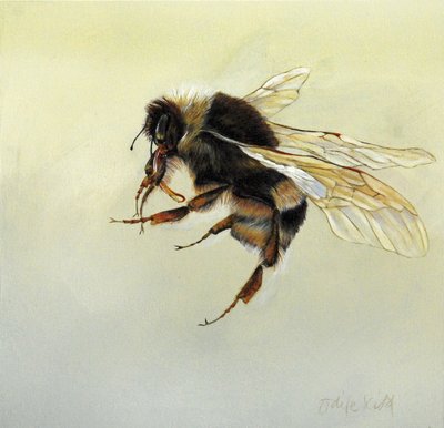 Bombus terrestris 4, 2011 (akryl på trä) av Odile Kidd