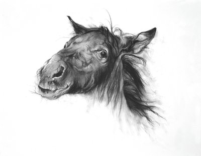 Colt, 2002 (kol på Fabriano-papper) av Odile Kidd