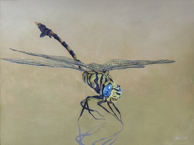 Drakfluga, 2009 (akryl på trä) av Odile Kidd