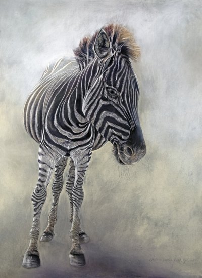Equus burchelli 1, 2009 (kol, conte  kritpastell på Bockingford-papper) av Odile Kidd