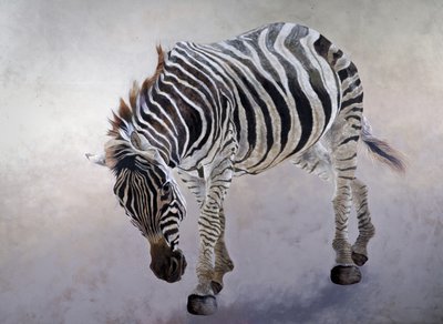 Equus burchelli 2, 2010 (akryl på duk) av Odile Kidd