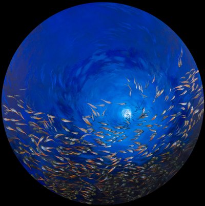 Glasfisk 2, 2009 (akryl på linne på trä) av Odile Kidd