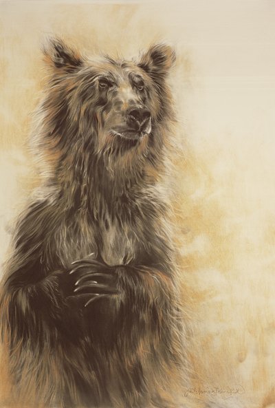 Grizzly Bear 1, 2002 (kolpenna, kol  krita) av Odile Kidd