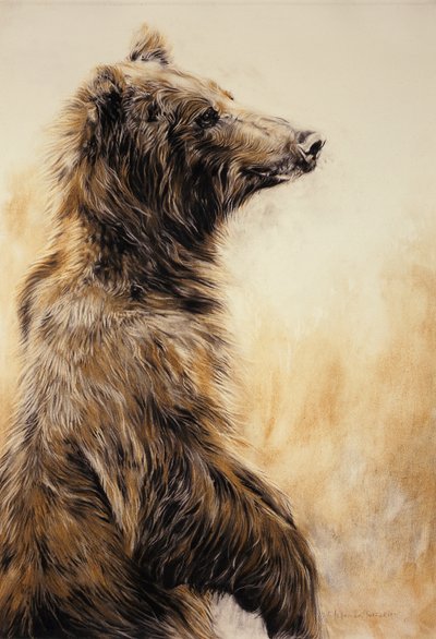Grizzly Bear 2, 2002 (kolpenna, kol  krita) av Odile Kidd