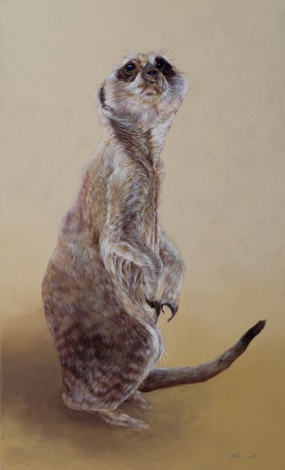 Meerkat 2, 2010 (akryl på trä) av Odile Kidd